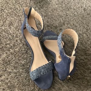 Blue wedges